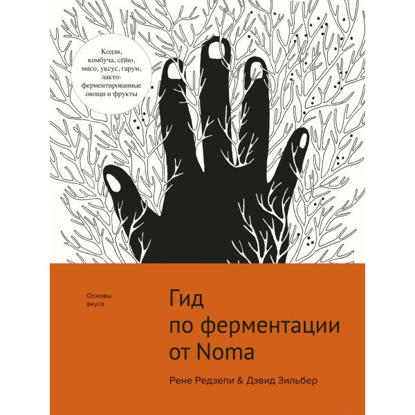 Гид по ферментации от Noma