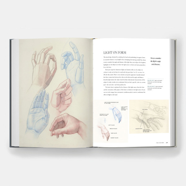 Dynamic Human Anatomy: An Artist's Guide to Structure, Gesture, and the Figure in Motion