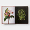 Edible Flowers: How, Why, and When We Eat Flowers Edible Flowers: How, Why, and When We Eat Flowers