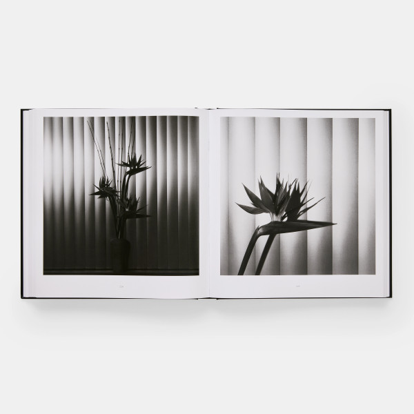 Mapplethorpe Flora: The Complete Flowers Mapplethorpe Flora: The Complete Flowers
