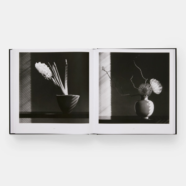 Mapplethorpe Flora: The Complete Flowers Mapplethorpe Flora: The Complete Flowers