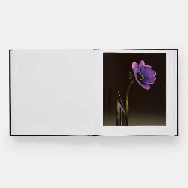 Mapplethorpe Flora: The Complete Flowers Mapplethorpe Flora: The Complete Flowers