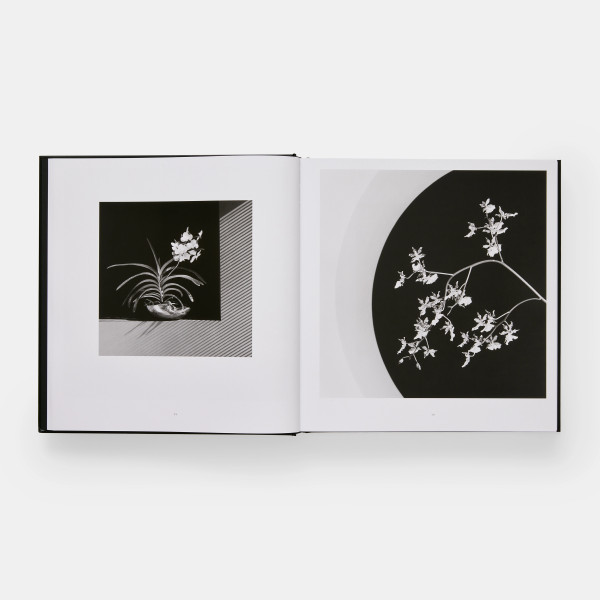 Mapplethorpe Flora: The Complete Flowers Mapplethorpe Flora: The Complete Flowers