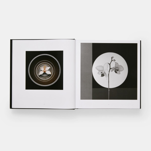 Mapplethorpe Flora: The Complete Flowers Mapplethorpe Flora: The Complete Flowers