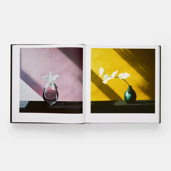 Mapplethorpe Flora: The Complete Flowers Mapplethorpe Flora: The Complete Flowers