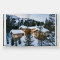 Rocky Mountain Modern Rocky Mountain Modern