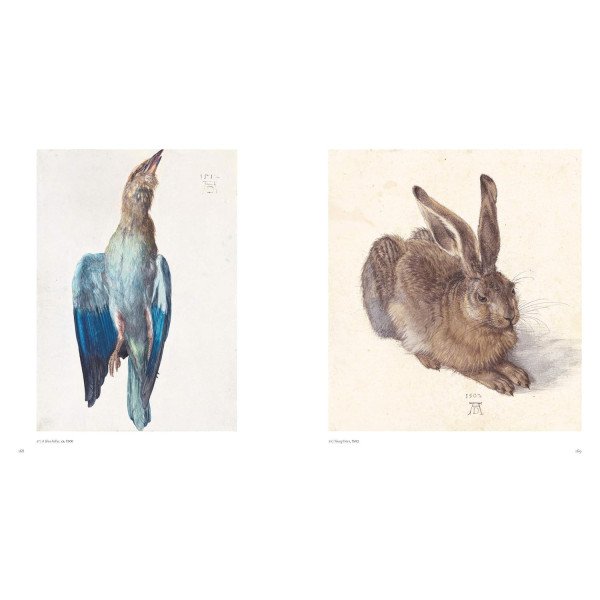 Albrecht Dürer