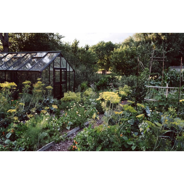 Beyond the Meadows: Portrait of a Natural and Biodiverse Garden