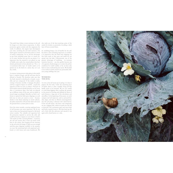 Beyond the Meadows: Portrait of a Natural and Biodiverse Garden