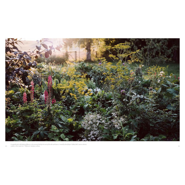 Beyond the Meadows: Portrait of a Natural and Biodiverse Garden