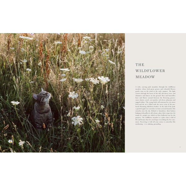 Beyond the Meadows: Portrait of a Natural and Biodiverse Garden