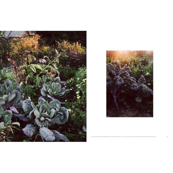 Beyond the Meadows: Portrait of a Natural and Biodiverse Garden