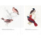 Birds of the World: The Art of Elizabeth Gould Birds of the World: The Art of Elizabeth Gould