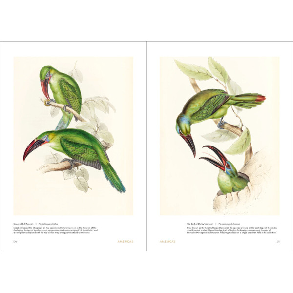 Birds of the World: The Art of Elizabeth Gould Birds of the World: The Art of Elizabeth Gould