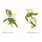 Birds of the World: The Art of Elizabeth Gould Birds of the World: The Art of Elizabeth Gould