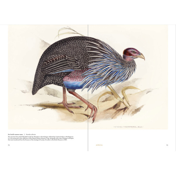 Birds of the World: The Art of Elizabeth Gould Birds of the World: The Art of Elizabeth Gould