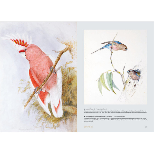 Birds of the World: The Art of Elizabeth Gould Birds of the World: The Art of Elizabeth Gould