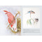 Birds of the World: The Art of Elizabeth Gould Birds of the World: The Art of Elizabeth Gould