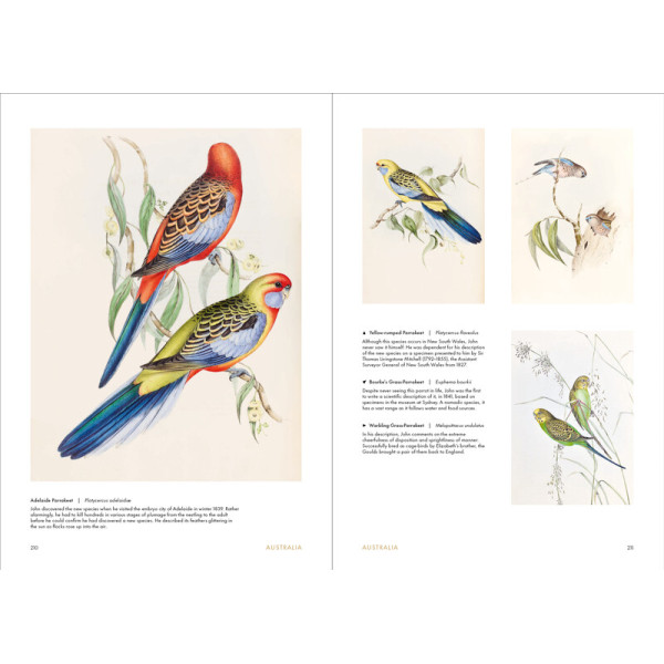 Birds of the World: The Art of Elizabeth Gould