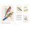Birds of the World: The Art of Elizabeth Gould Birds of the World: The Art of Elizabeth Gould