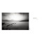 Forms of Japan: Michael Kenna Forms of Japan: Michael Kenna