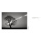 Forms of Japan: Michael Kenna Forms of Japan: Michael Kenna