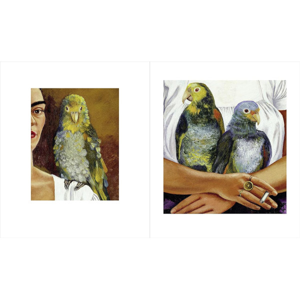 Frida Kahlo: The Painter and Her Work