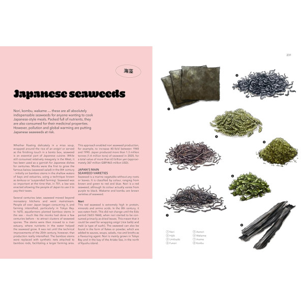 Japan: A Culinary Travel Diary