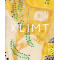 Klimt: The Bigger Picture