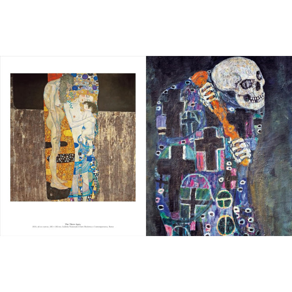 Klimt: The Bigger Picture