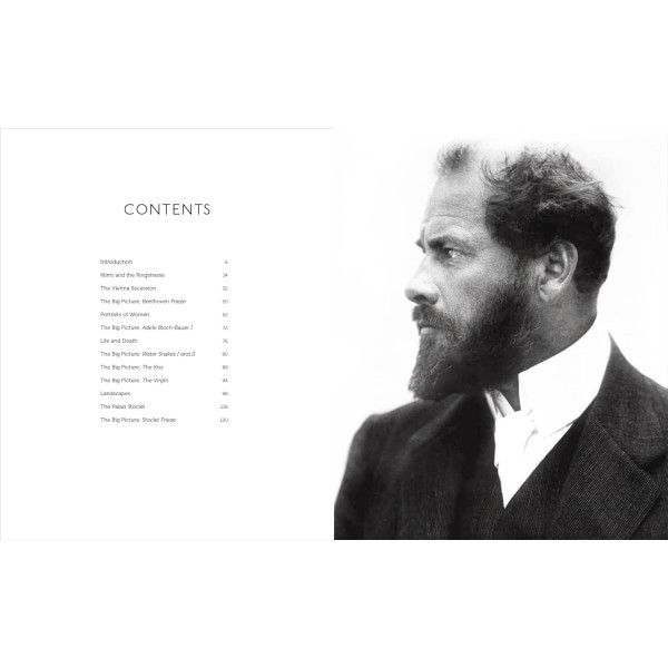 Klimt: The Bigger Picture