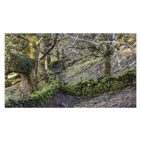 Scotch: The Stories Behind Scotland's Iconic Spirit