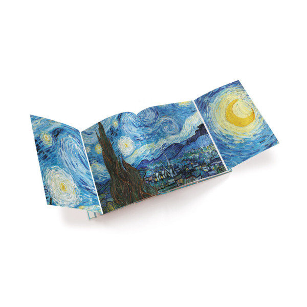 Van Gogh: The Bigger Picture