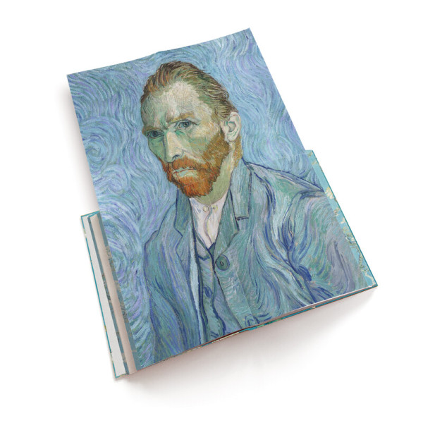 Van Gogh: The Bigger Picture
