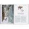 The New York Times Explorer. 100 Dream Trips Around the World