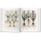 Basilius Besler. Florilegium. The Book of Plants Basilius Besler. Florilegium. The Book of Plants