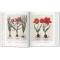 Basilius Besler. Florilegium. The Book of Plants Basilius Besler. Florilegium. The Book of Plants