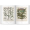 Basilius Besler. Florilegium. The Book of Plants Basilius Besler. Florilegium. The Book of Plants