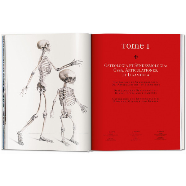 Bourgery. Atlas of Human Anatomy and Surgery