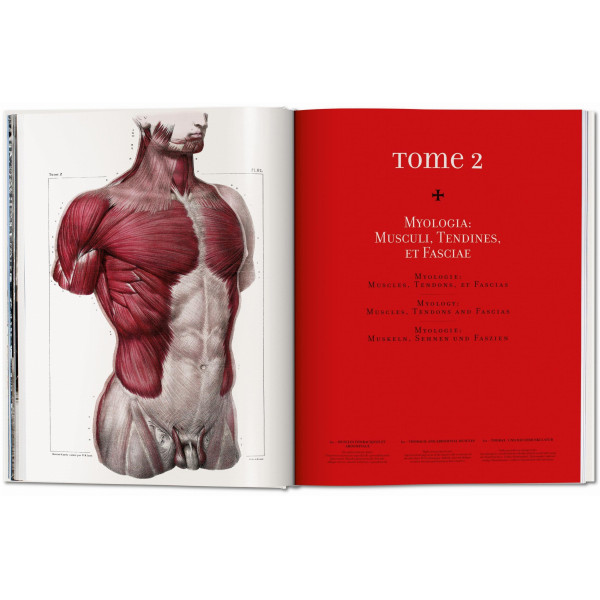 Bourgery. Atlas of Human Anatomy and Surgery
