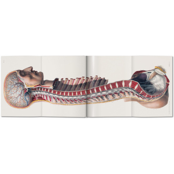 Bourgery. Atlas of Human Anatomy and Surgery