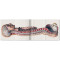 Bourgery. Atlas of Human Anatomy and Surgery