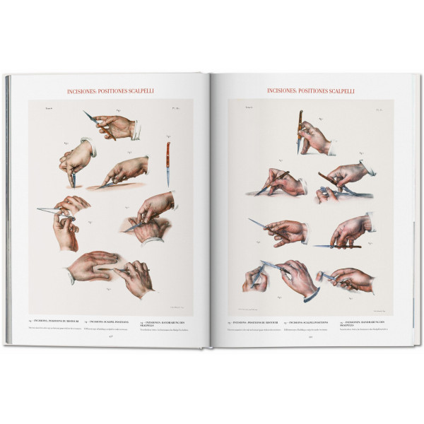 Bourgery. Atlas of Human Anatomy and Surgery