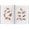 Bourgery. Atlas of Human Anatomy and Surgery