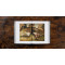 Bruegel. The Complete Works (XXL)