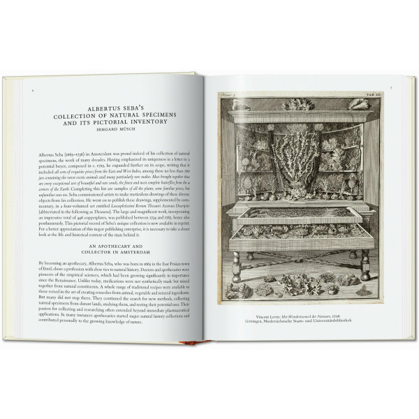 Cabinet of Natural Curiosities. 40th Ed.