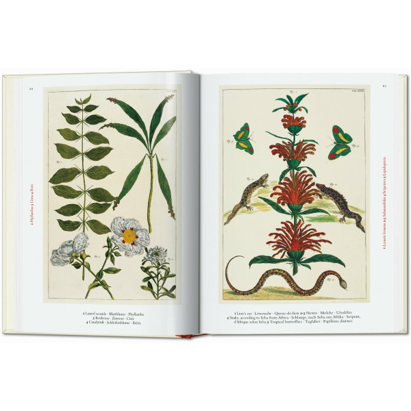 Cabinet of Natural Curiosities. 40th Ed.