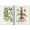 Cabinet of Natural Curiosities. 40th Ed.