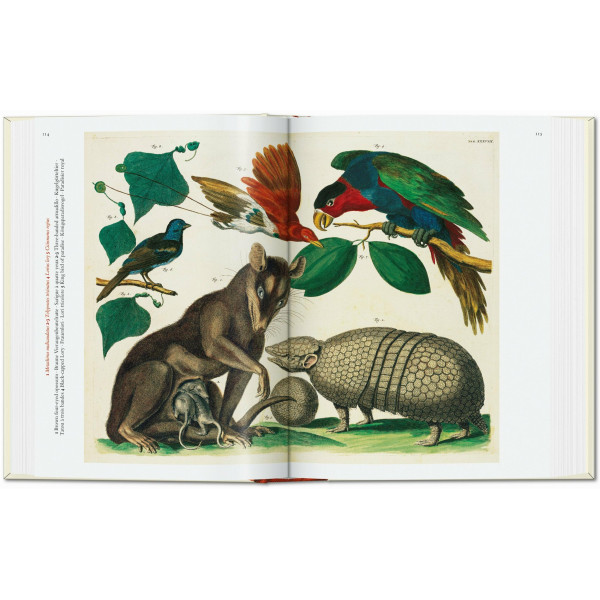 Cabinet of Natural Curiosities. 40th Ed.