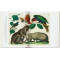 Cabinet of Natural Curiosities. 40th Ed.